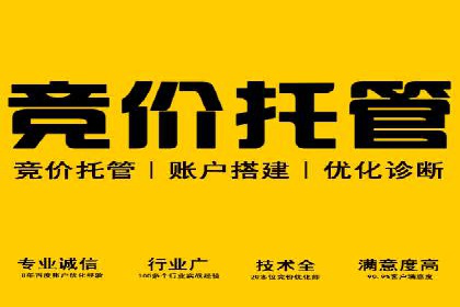 SEM代运营公司案例：优化策略揭秘